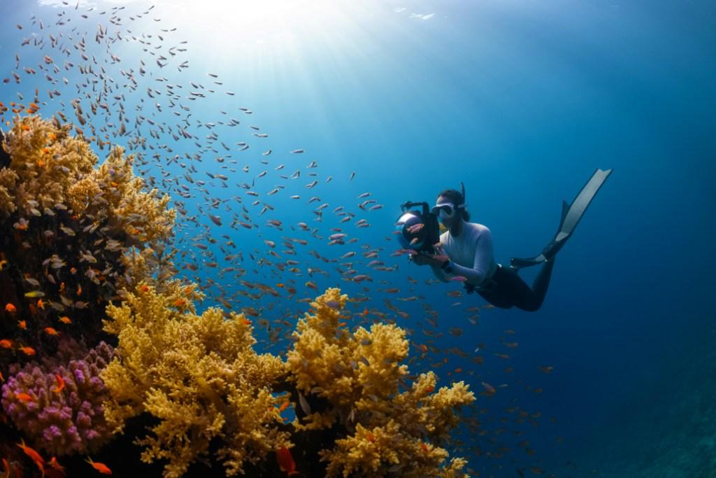 Agli investimenti Ue sulla biodiversità mancano 19 miliardi di euro l’anno